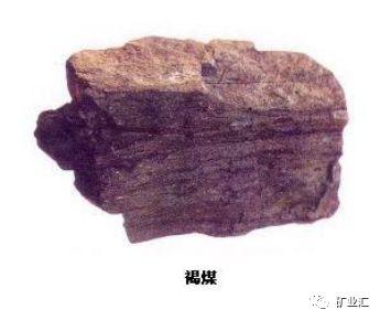 煤的种类有哪些，煤的种类有哪些用途（煤炭分类、质量、六项指标...）