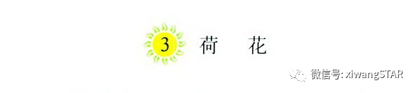碧玉妆成一树高的一树是什么意思，碧玉妆成一树高的妆是什么意思（人教版三年级语文下册第一单元知识点）