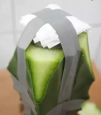 仙人掌的嫁接方法，仙人掌的嫁接教案（4步教你仙人掌嫁接）