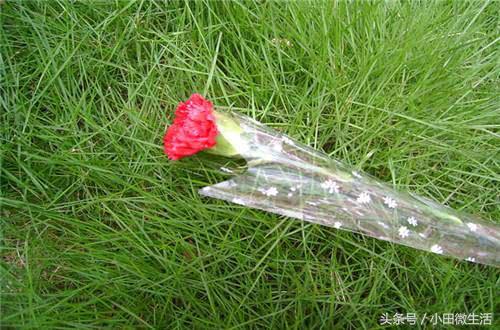 三八妇女节的贺卡，三八妇女节贺卡内容怎么写（2018三八妇女节经典贺卡贺词祝福语精选）