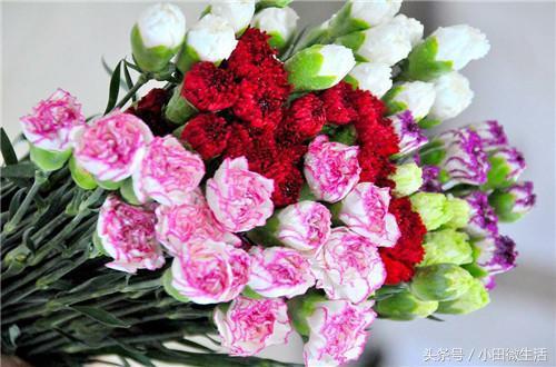 三八妇女节的贺卡，三八妇女节贺卡内容怎么写（2018三八妇女节经典贺卡贺词祝福语精选）