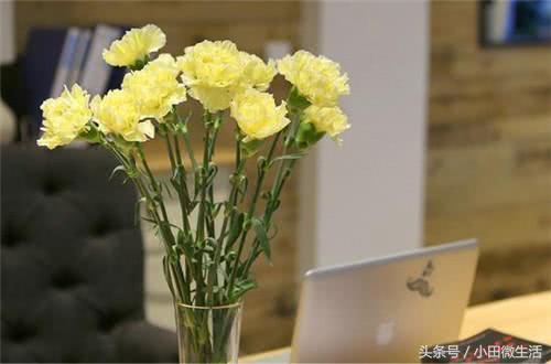 三八妇女节的贺卡，三八妇女节贺卡内容怎么写（2018三八妇女节经典贺卡贺词祝福语精选）
