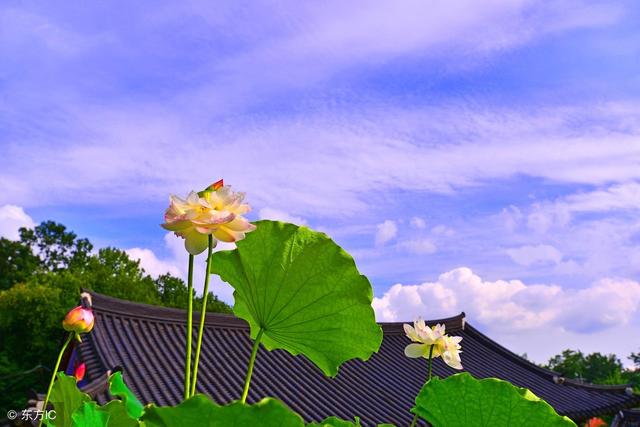 三横一竖一撇一捺,三横一竖一撇一捺念什么(“一撇一捺写人生”) 三横一竖一撇一捺,三横一竖一撇一捺念什么(“一撇一捺写人生”)