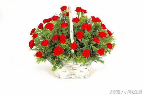 三八妇女节的贺卡，三八妇女节贺卡内容怎么写（2018三八妇女节经典贺卡贺词祝福语精选）