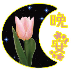 软床什么牌子好，软床哪个牌子好（晚安动态带字图片）