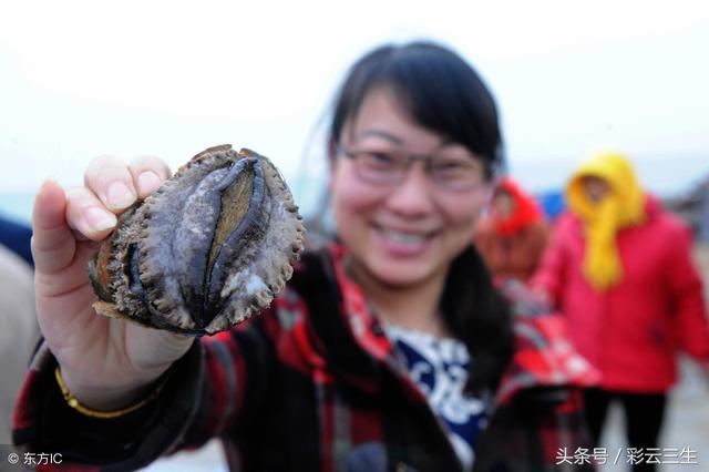 鲍鱼的养殖方法与管理，人工养殖鲍鱼技术
