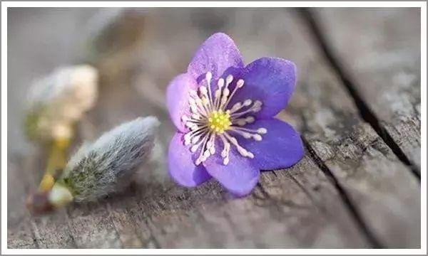 每天十句话，每天十句话句句都精彩天涯（“再见”容易，再见很难）