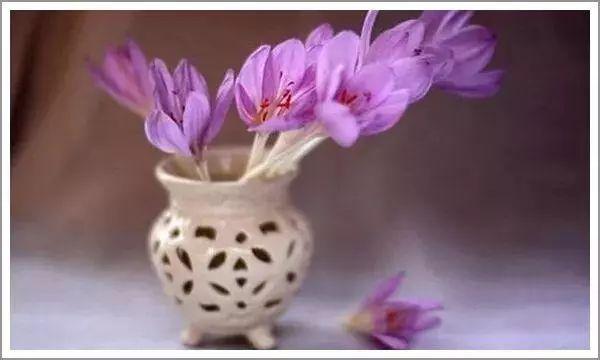 每天十句话，每天十句话句句都精彩天涯（“再见”容易，再见很难）