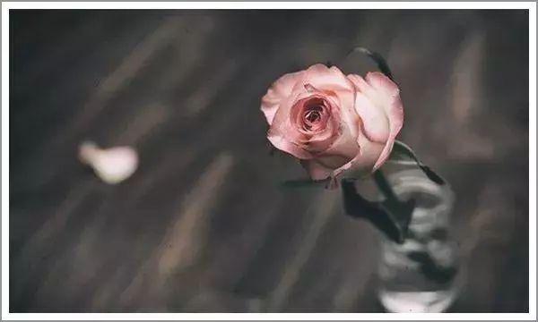 每天十句话，每天十句话句句都精彩天涯（“再见”容易，再见很难）