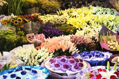 鲜花批发怎么找货源，鲜花在哪里进货（批发鲜花的价格多少钱一朵）