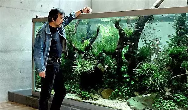 天野尚，水草造景之父~~~天野尚（天野尚造景）