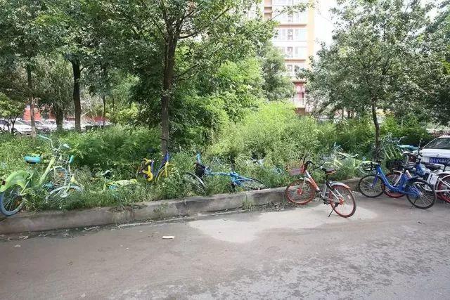 站在昌平望朝阳，昌平、朝阳交界处的一条街居然变成了这样