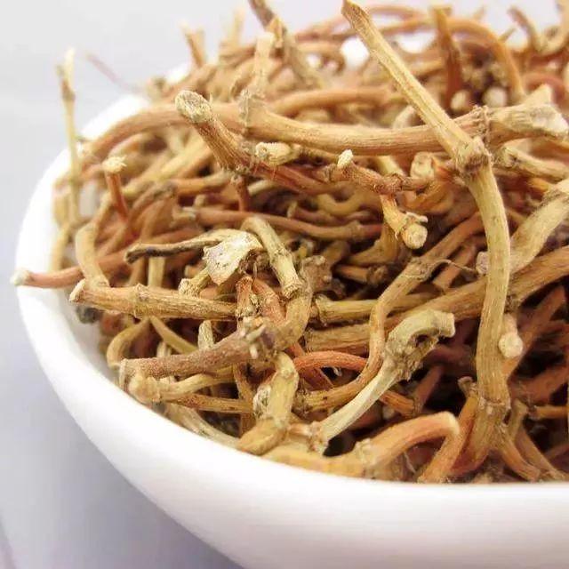 菊苣栀子茶的功效与作用，菊苣栀子茶的功效与作用及禁忌（却是痛风的“克星”）