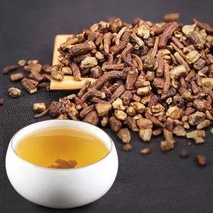 菊苣栀子茶的功效与作用，菊苣栀子茶的功效与作用及禁忌（却是痛风的“克星”）