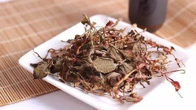 菊苣栀子茶的功效与作用，菊苣栀子茶的功效与作用及禁忌（却是痛风的“克星”）