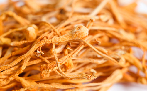 虫草泡水一次几根，虫草的吃法（一次3-5根干品就可以了）