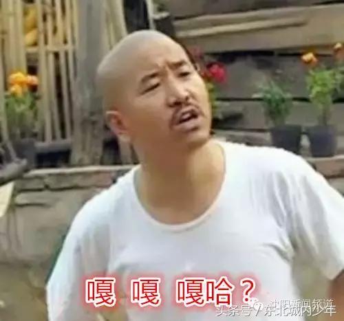 嘎哈是什么意思,破马张飞是什么意思(在东北,“嘎”字的九大用法) 嘎哈是什么意思,破马张飞是什么意思(在东北,“嘎”字的九大用法)