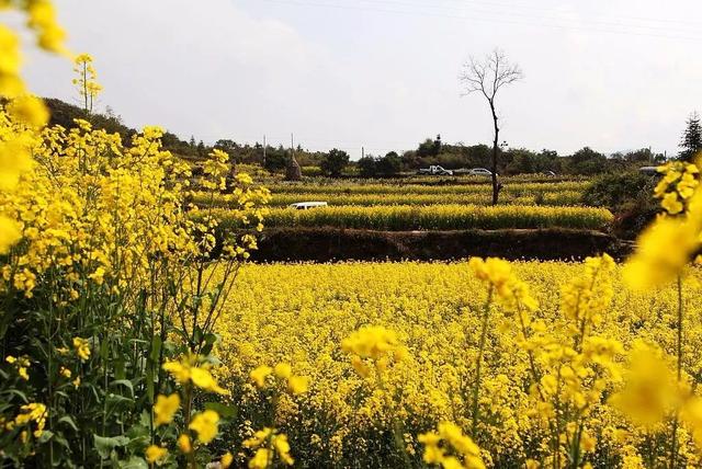 三月份去北京旅游怎么样，几月去北京旅游比较好（阳春三月，适合去哪游玩）