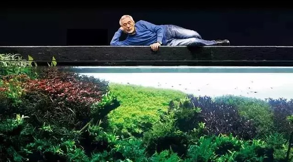 天野尚，水草造景之父~~~天野尚（天野尚造景）