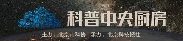 恐龙有一种叫美颌龙的种类吗，有一种恐龙叫什么嘴龙（“迷你恐龙”家族添最小成员）