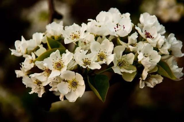 三月份去北京旅游怎么样，几月去北京旅游比较好（阳春三月，适合去哪游玩）