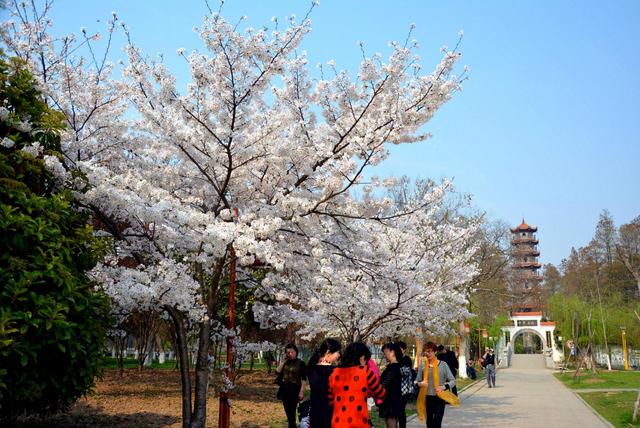 三月份去北京旅游怎么样，几月去北京旅游比较好（阳春三月，适合去哪游玩）