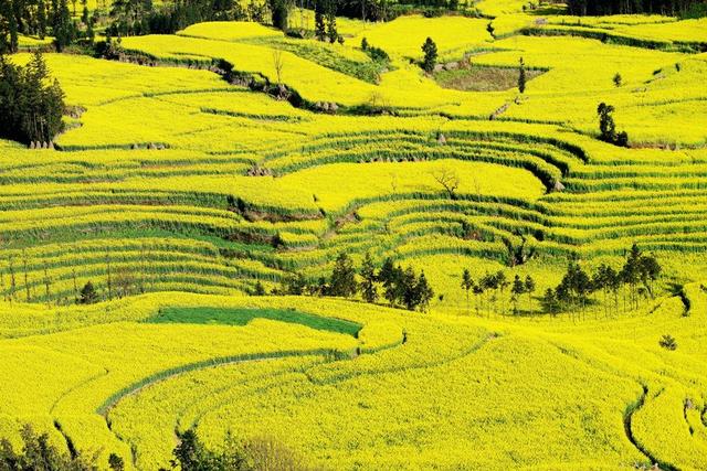 三月份去北京旅游怎么样，几月去北京旅游比较好（阳春三月，适合去哪游玩）