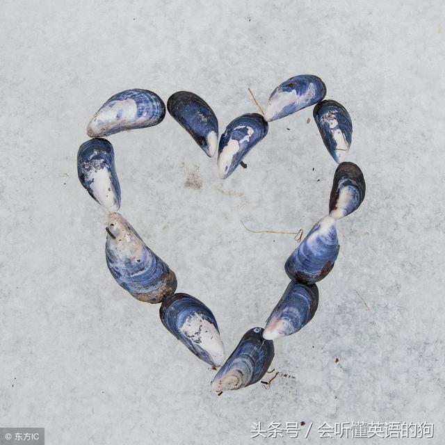 简短的高级情话英文，超甜浪漫高级情话带英文翻译（让人疯狂的10个黄金英语表白句子）