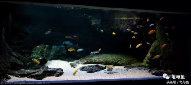 一升与一公升有什么区别，一公升跟一升区别（水族常用计量单位科普）