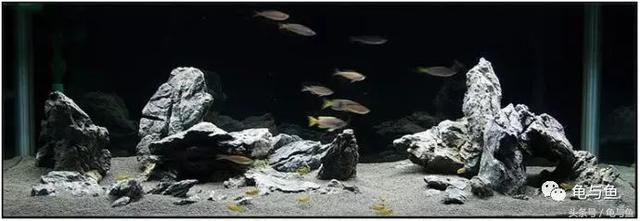 一升与一公升有什么区别，一公升跟一升区别（水族常用计量单位科普）