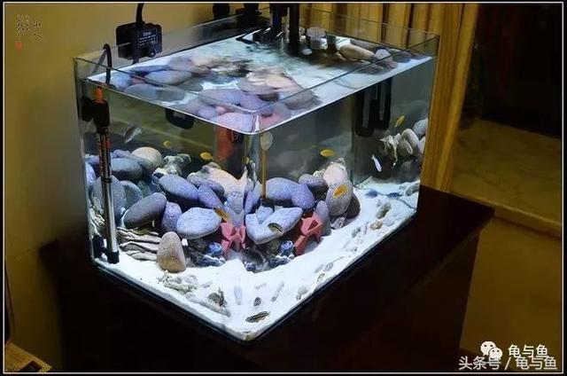 一升与一公升有什么区别，一公升跟一升区别（水族常用计量单位科普）