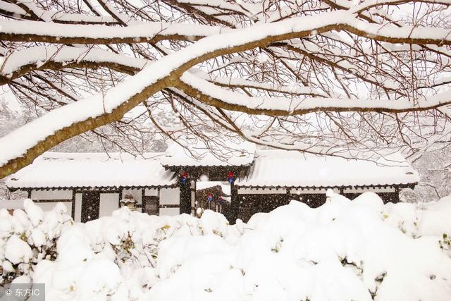 前行的路荆棘和鲜花并存文案，行走在旅途，鲜花和荆棘映衬