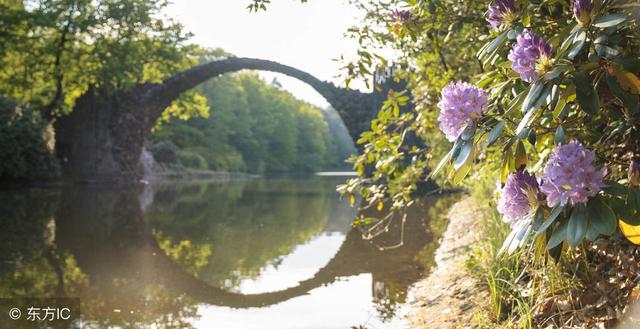 前行的路荆棘和鲜花并存文案，行走在旅途，鲜花和荆棘映衬