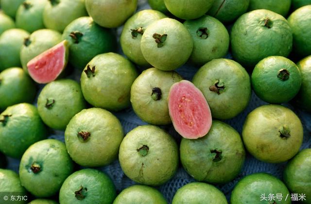 红心芭乐的功效与作用及禁忌，白心芭乐的功效（吃芭乐有什么好处和禁忌）
