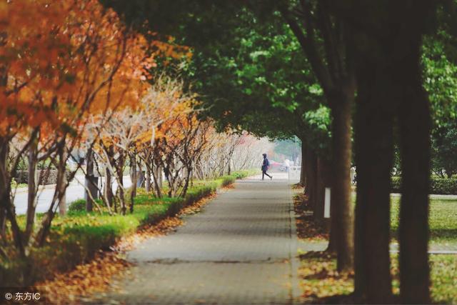 前行的路荆棘和鲜花并存文案，行走在旅途，鲜花和荆棘映衬