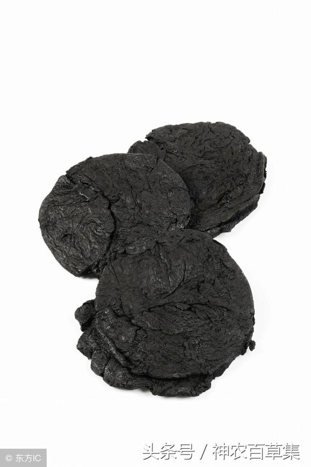 生地泡水喝的功效，生地泡水喝的功效与作用及禁忌（熟地黄泡水的五大功效及两种食用方法）