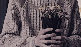 我的挚爱什么意思，我的挚爱的人是什么意思（什么是挚爱）