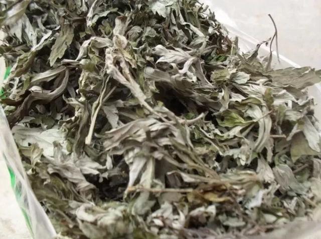 艾草生姜煮水洗头发正确方法，用艾草煮水洗头后....简直惊呆了（一位诸暨的母亲用艾叶煮水）