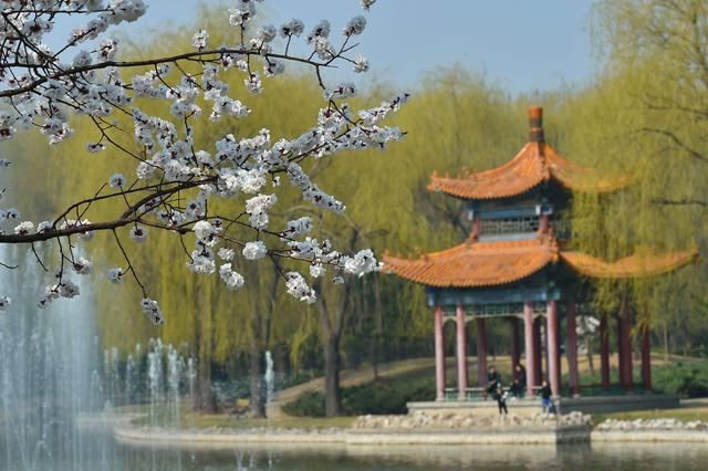吕梁市汾阳市杏花村旅游景区，<环境><3>汾阳