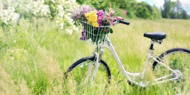 享受阳光惬意的句子，阳光文案短句干净治愈（午后阳光唯美意境句子）