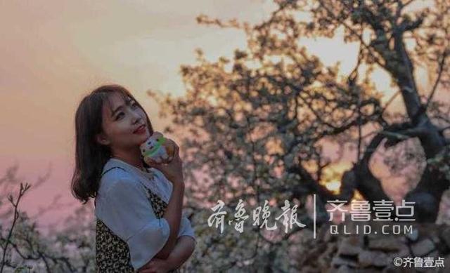 韩剧泰梨园，韩剧tv为什么下架《梨泰院》（美女、梨花……这时候的泰安梨园美呆了）