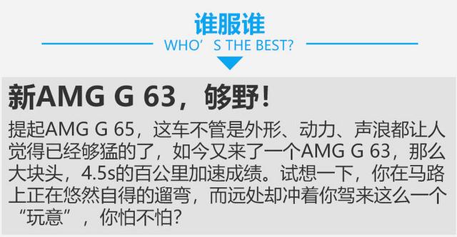 奔驰g65和g63的区别有什么，奔驰g65与g63（ 新AMG G 63对比AMG G 65）