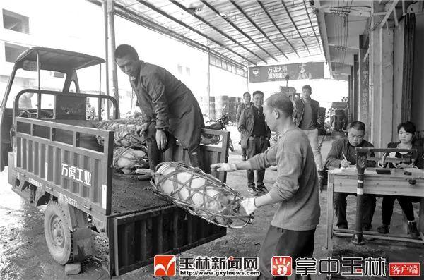 恒楚是什么，楚恒作为名字好吗（短短十年时间将个体户发展成为年总产值达1.1亿元的公司）