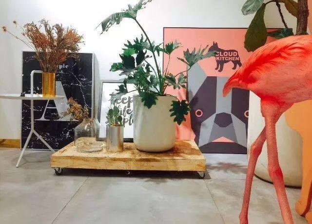 网红靠什么赚钱，网红靠什么赚钱的（揭秘~网红是怎么赚钱的！）