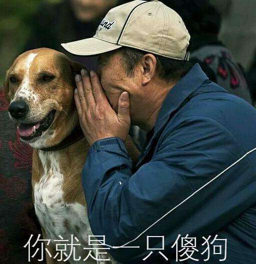 你是狗吧是什么梗 你这个人真狗啊竟有羡慕的意思