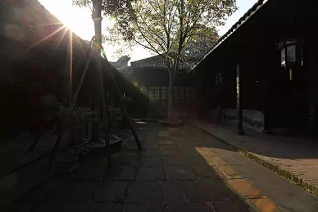 新都旅游攻略，新都旅游攻略自由行攻略（这些踏青好去处不可错过）