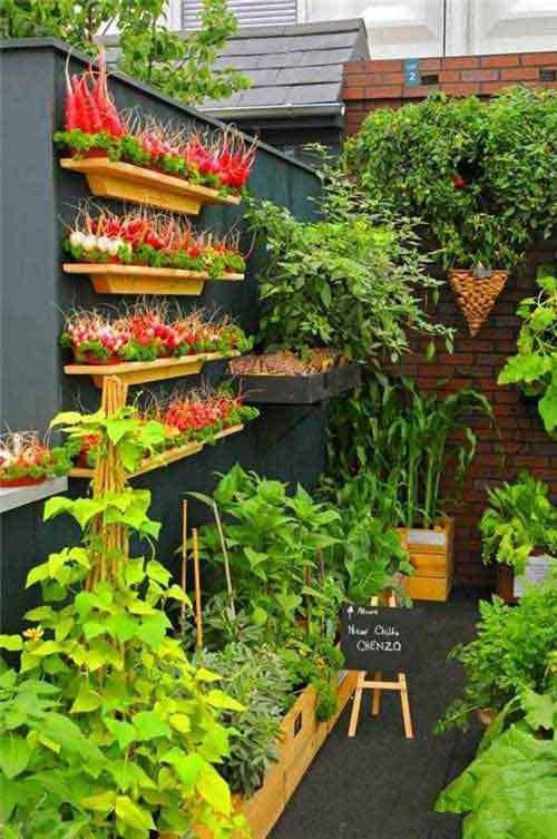 十二星座代表的别墅，十二星座的豪华别墅（12星座专属庭院~请对号入座）