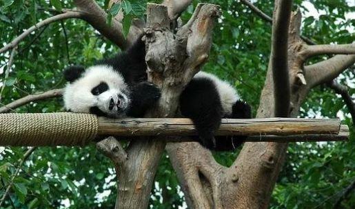 徐州到成都高铁途经哪里，时间、票价……统统在这里