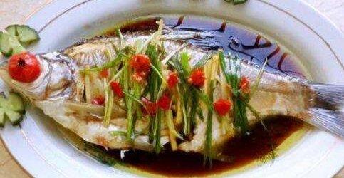 文昌鱼图片，白氏文昌鱼图片（文昌鱼的功效与食用方法）