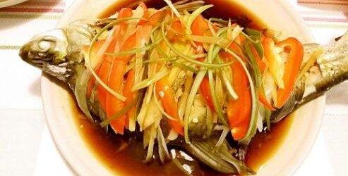 文昌鱼图片，白氏文昌鱼图片（文昌鱼的功效与食用方法）